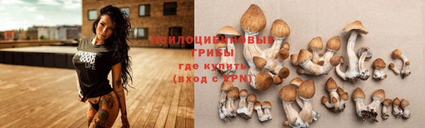 таблы Армянск